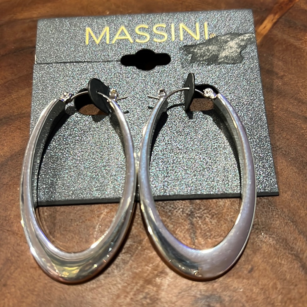 315 Massini Oval Hoop Pierced Earrings - New - Lot 654 8$